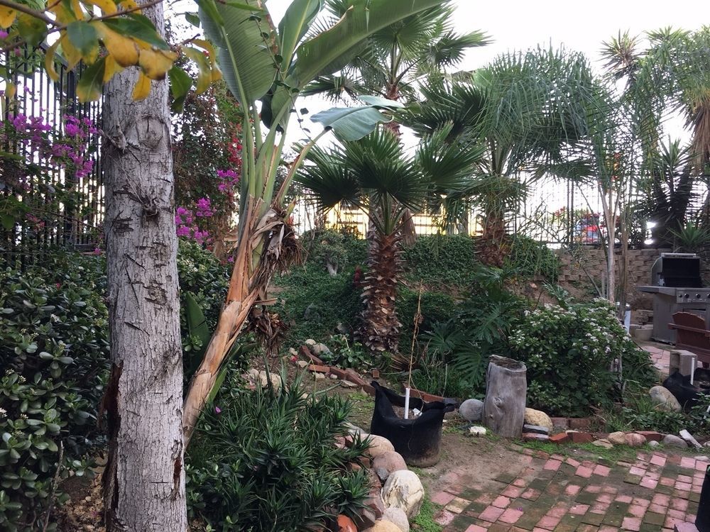 Motel San Diego Ngoại thất bức ảnh